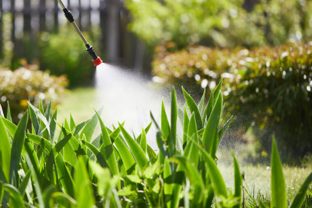 24/7 Emergency Mosquito Control experts in Shasta Lake, CA