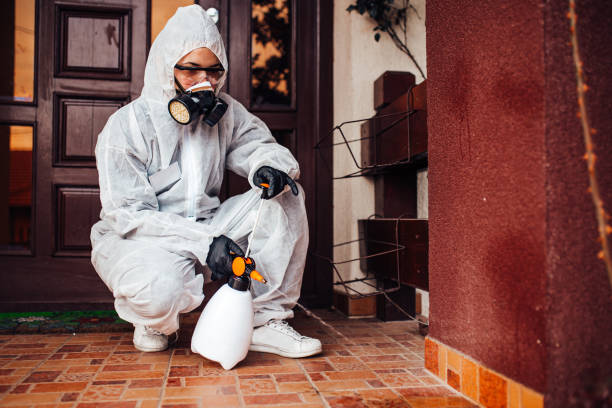 Reliable Mosquito Control contractor in Shasta Lake, CA by Show Me Pest Control